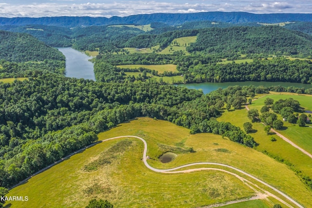 bird's eye view featuring a water and mountain view