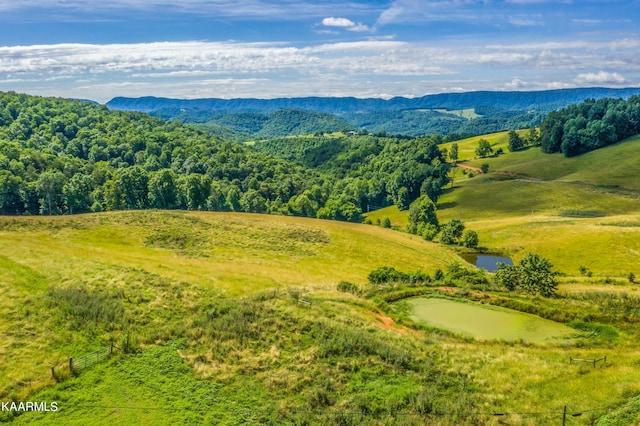 birds eye view of property featuring a mountain view