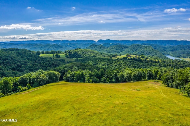 view of mountain view