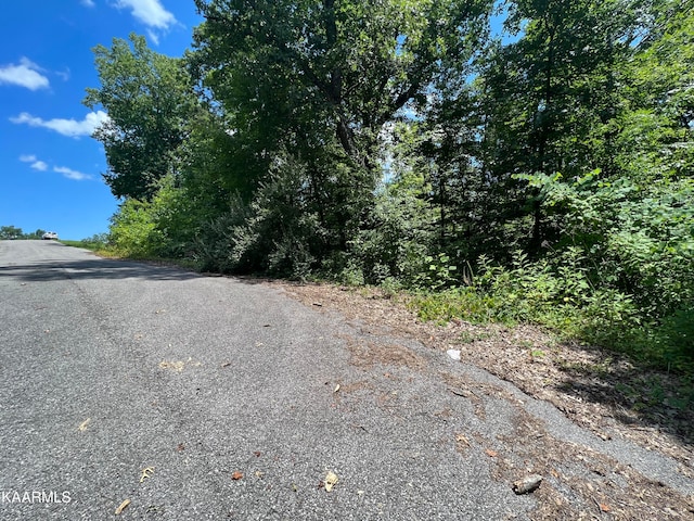 Listing photo 3 for LOT37 Pinnacle Ln, Lafollette TN 37766