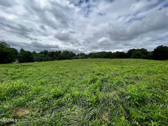 Listing photo 3 for LOT133 Cinnabar Dr, New Tazewell TN 37825