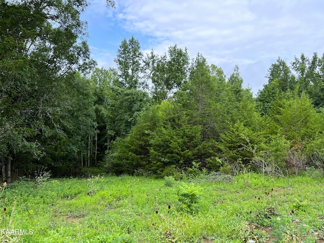 Listing photo 3 for 790 Lonesome Pine Rd, Bybee TN 37713