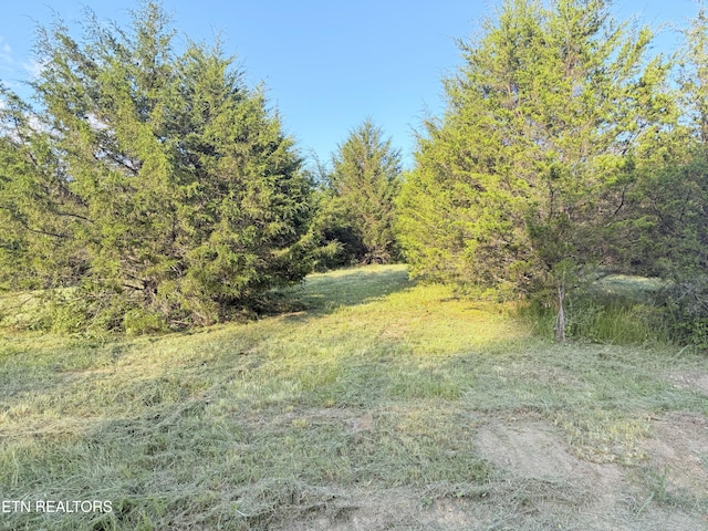 790 Lonesome Pine Rd, Bybee, TN 37713 - photo 4