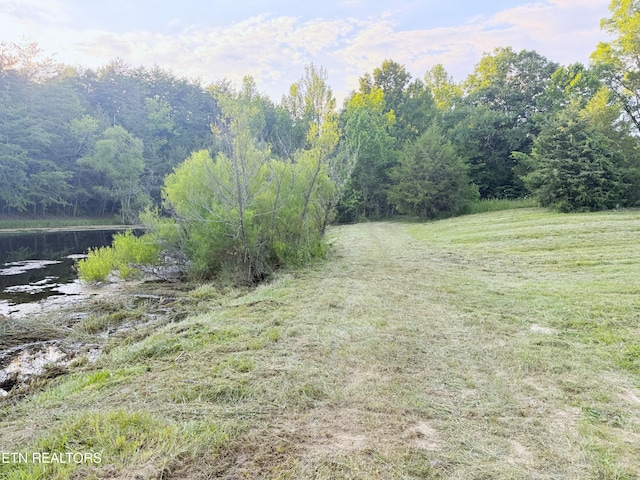790 Lonesome Pine Rd, Bybee, TN 37713 - photo 2