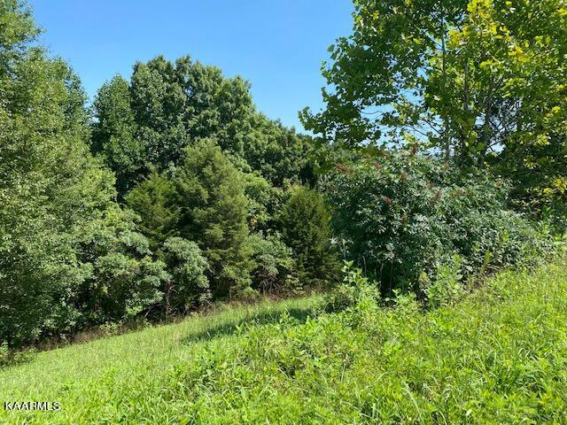 Marble Point Way, New Tazewell TN, 37825 land for sale