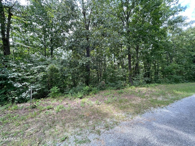 Listing photo 3 for LOT37 Pecan Tree Ln, Newport TN 37821