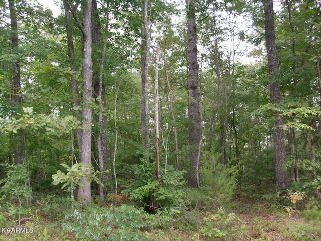 4133 Chica Rd, Crossville TN, 38572 land for sale