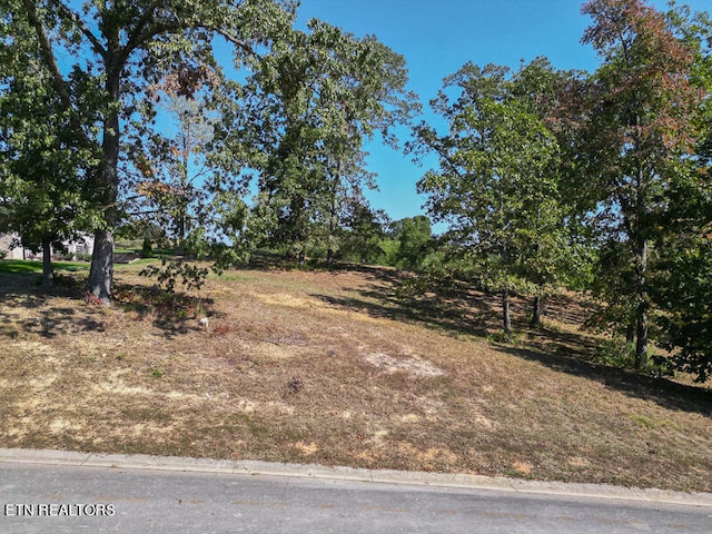605 Gallery Ct, Lenoir City, TN 37772