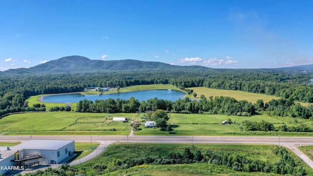 1950 Knoxville Hwy, Wartburg, TN 37887 - photo 4