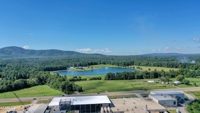 1950 Knoxville Hwy, Wartburg, TN 37887 - photo 8