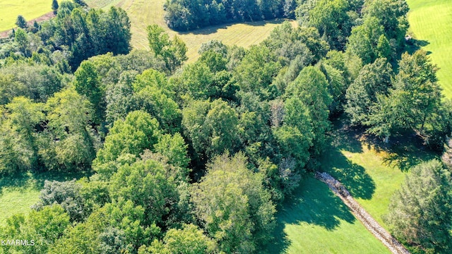 1950 Knoxville Hwy, Wartburg, TN 37887 - photo 15
