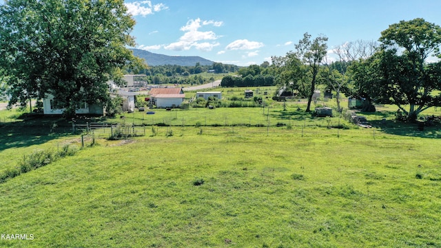 1950 Knoxville Hwy, Wartburg, TN 37887 - photo 22