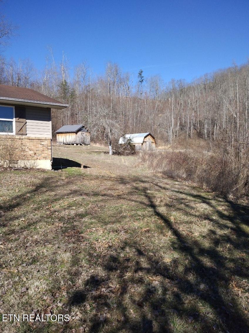 view of yard featuring an outdoor structure and a storage shed