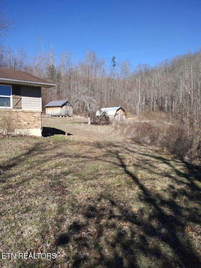 view of yard featuring an outdoor structure and a storage shed