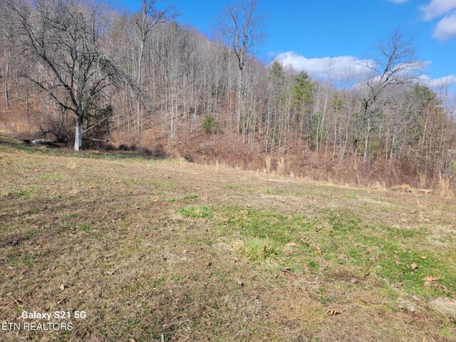 1359 Ditney Trl, Pioneer, TN 37847 - view of yard