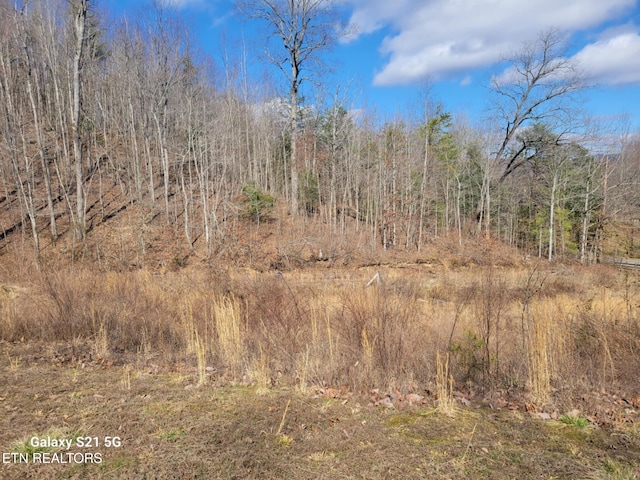 1359 Ditney Trl, Pioneer, TN 37847 - view of local wilderness