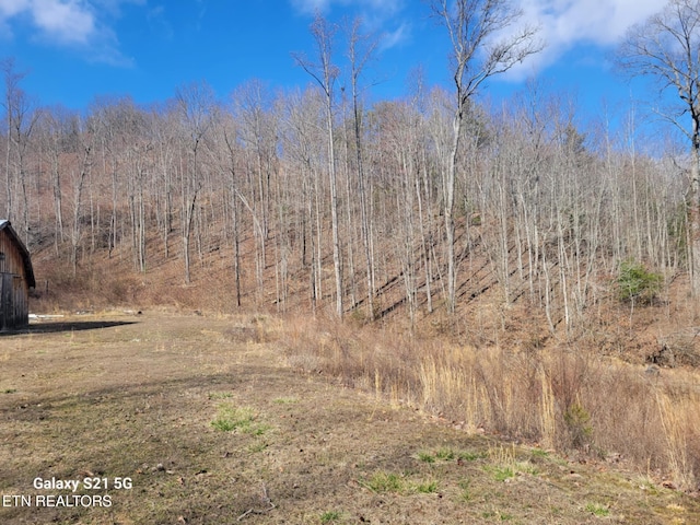 1359 Ditney Trl, Pioneer, TN 37847 - view of nature