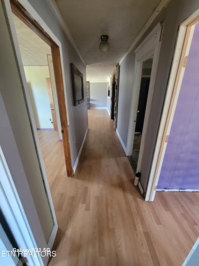 1359 Ditney Trl, Pioneer, TN 37847 - hallway with light wood finished floors and baseboards