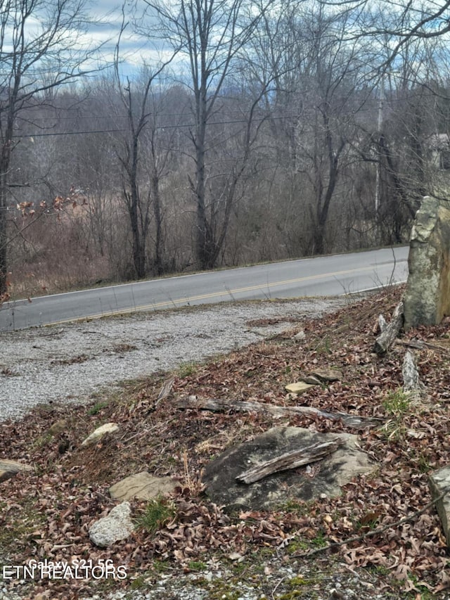 1359 Ditney Trl, Pioneer, TN 37847 - view of asphalt street