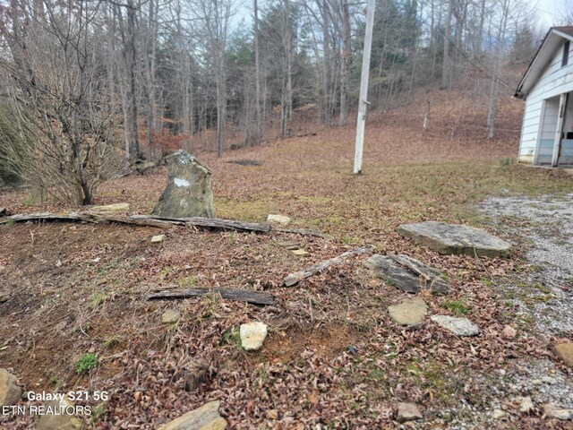 1359 Ditney Trl, Pioneer, TN 37847 - view of yard