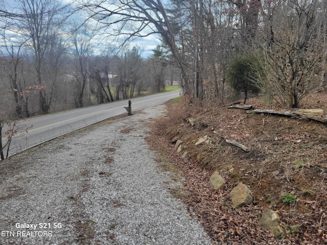 1359 Ditney Trl, Pioneer, TN 37847 - view of asphalt road