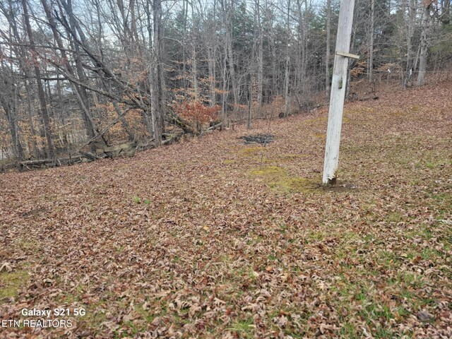 1359 Ditney Trl, Pioneer, TN 37847 - view of yard