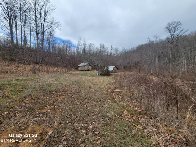1359 Ditney Trl, Pioneer, TN 37847 - view of yard featuring a wooded view and a view of countryside