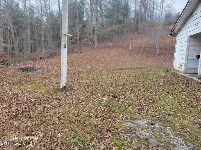 1359 Ditney Trl, Pioneer, TN 37847 - view of yard