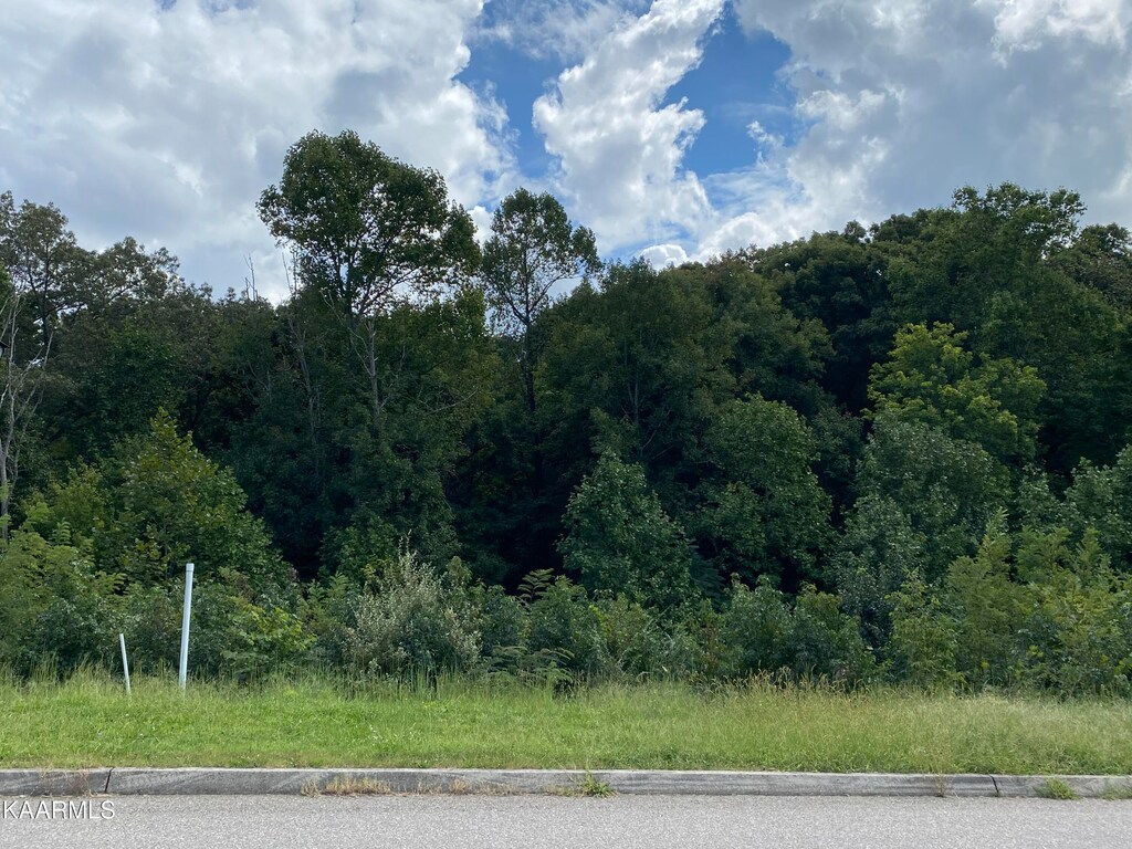 9836 Chesney Hills Ln, Knoxville, TN 37931
