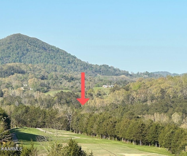 Par Pl, Tazewell TN, 37879 land for sale