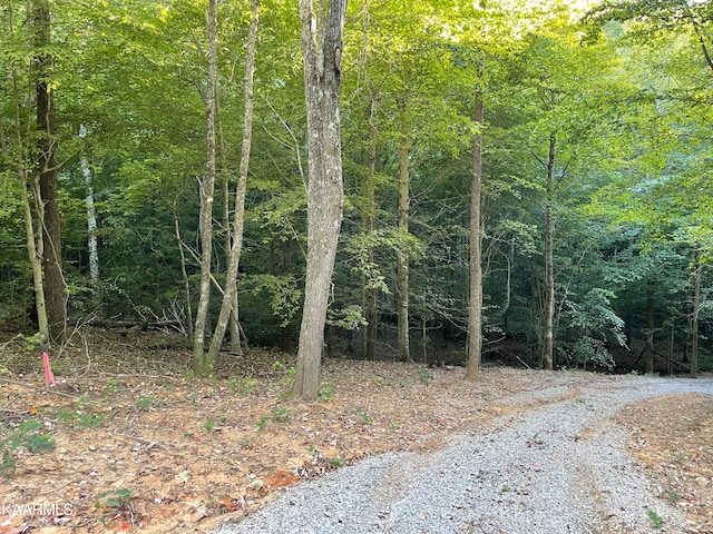 Listing photo 3 for Thompson Trl, Winfield TN 37892