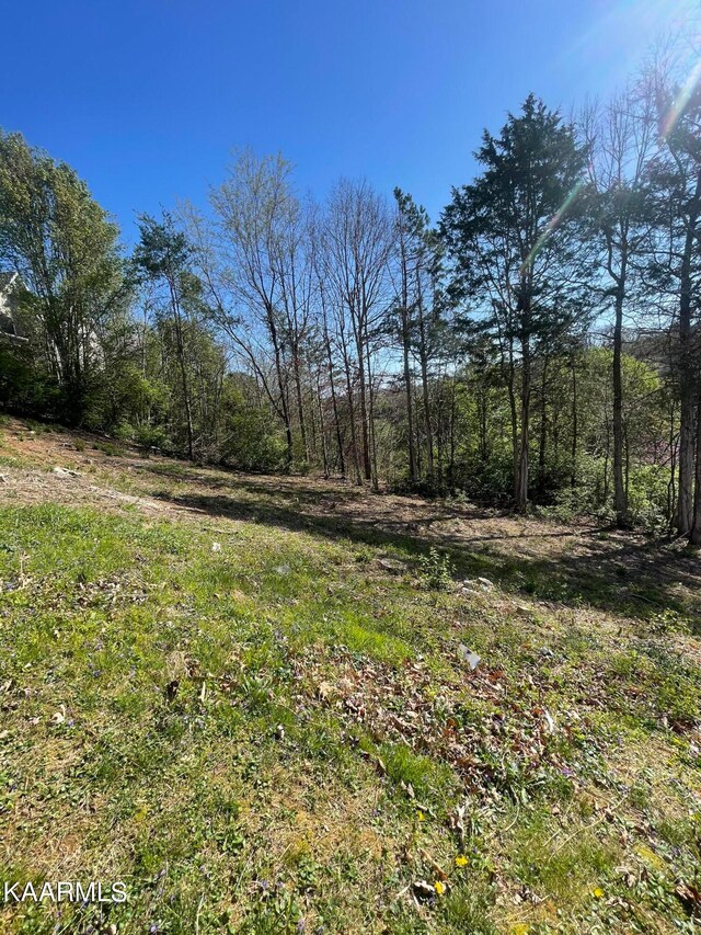 1948 Winter Winds Ln, Knoxville, TN 37909 - photo 5