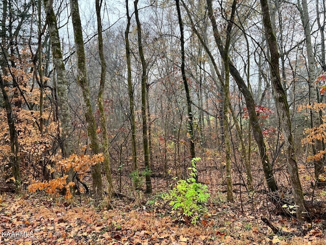 LOT6 Butler Rd, Decatur TN, 37322 land for sale