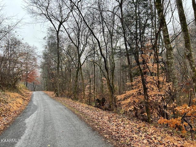 Listing photo 3 for LOT7 Butler Rd, Decatur TN 37322