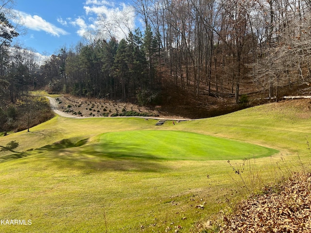 LotD Bobby Clampett Way, Lafollette TN, 37766 land for sale