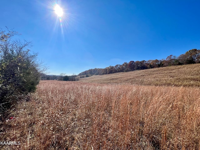 197 County Road 230, Niota TN, 37826 land for sale