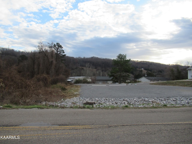 3604 Neal Dr, Knoxville TN, 37918 land for sale