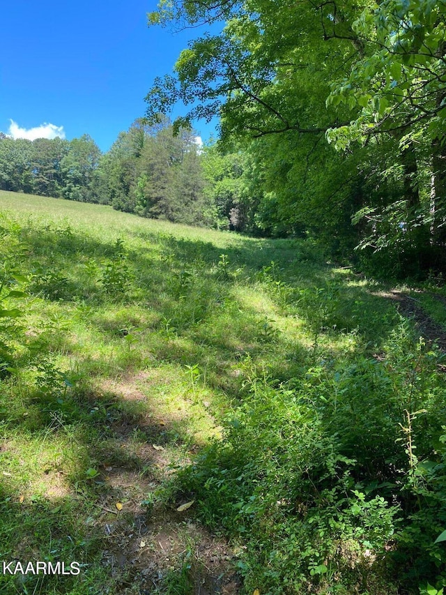 Listing photo 3 for TBD Chapman Rd, Lafollette TN 37766