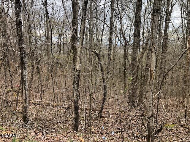 Spruce Dr, Spring City TN, 37381 land for sale