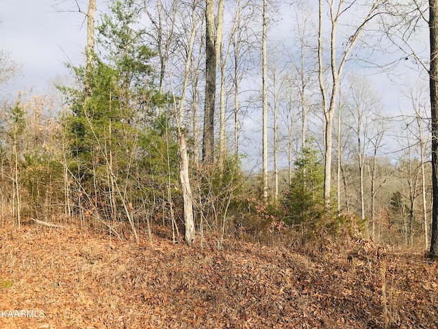 Saddleridge Dr, Speedwell, TN 37870 - photo 8