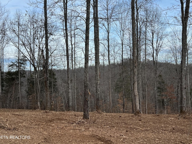 Saddleridge Dr, Speedwell, TN 37870 - photo 4