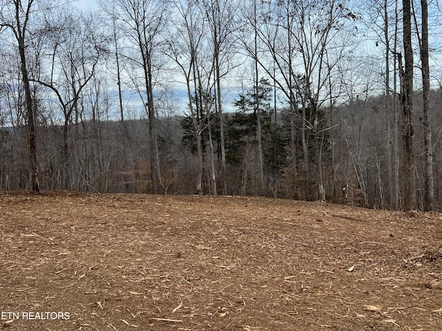 Saddleridge Dr, Speedwell, TN 37870 - photo 5