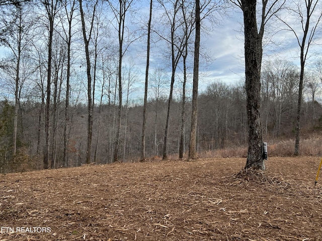 Saddleridge Dr, Speedwell TN, 37870 land for sale