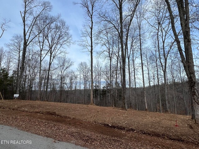 Saddleridge Dr, Speedwell, TN 37870 - photo 6
