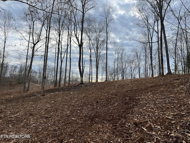 Saddleridge Dr, Speedwell, TN 37870 - photo 7