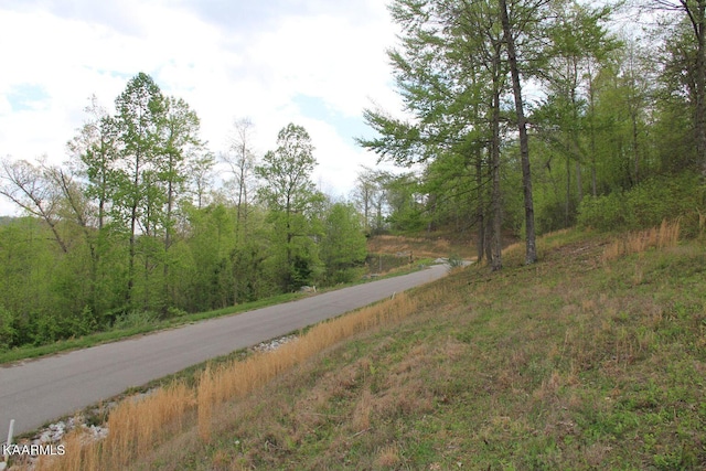 Listing photo 3 for LOT129 Suncrest Cv, Lafollette TN 37766