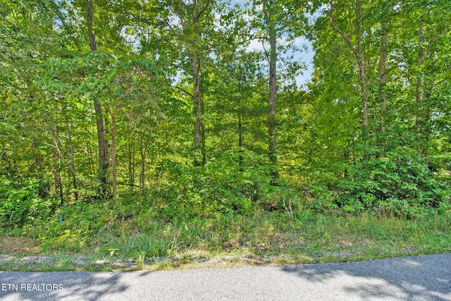 8739 Cherokee Trl 8735, Crossville, TN 38572 - photo 17