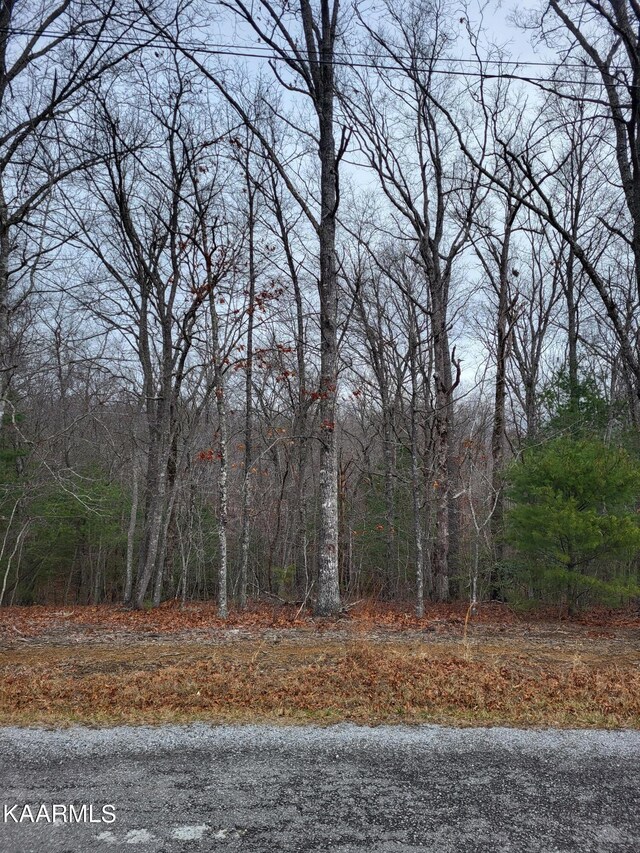 105 Rosemont Cir, Crossville, TN 38558