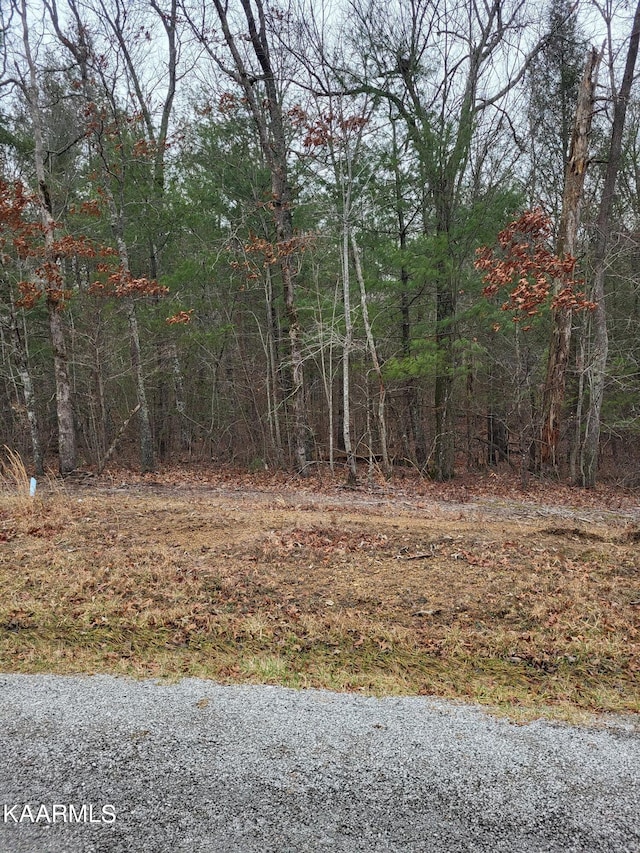 13 Dovecote Ter, Crossville TN, 38558 land for sale