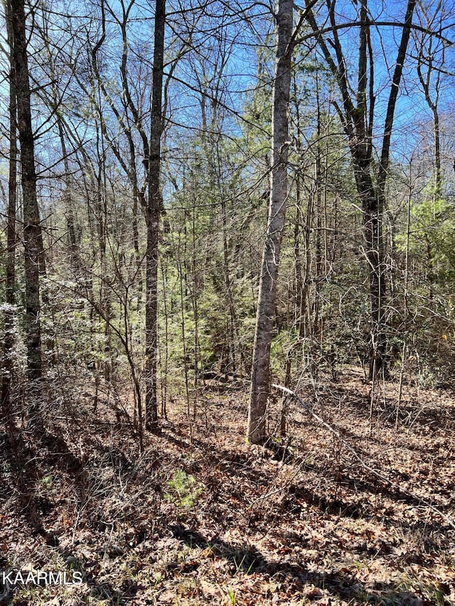 140 Natchez Cir, Crossville TN, 38558 land for sale